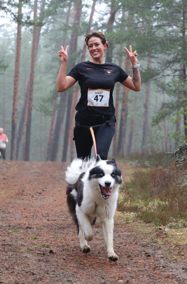 Luitejooks_koertekross